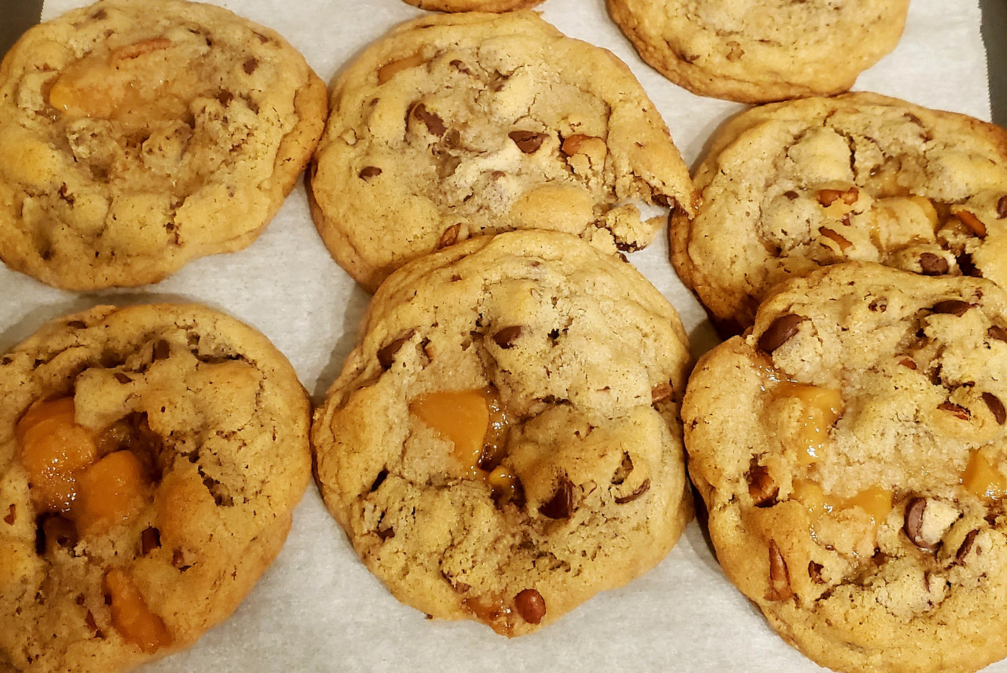 Turtle Cookies